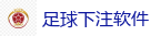 2026世界杯 (FIFA WorldCUP)中国竞彩指定网站